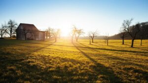 Shared Calendars Should Make Time-Zone Changes More Obvious